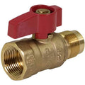 2 in. Cast Brass Y-Strainer with Stainless Steel Mesh Screen C862611