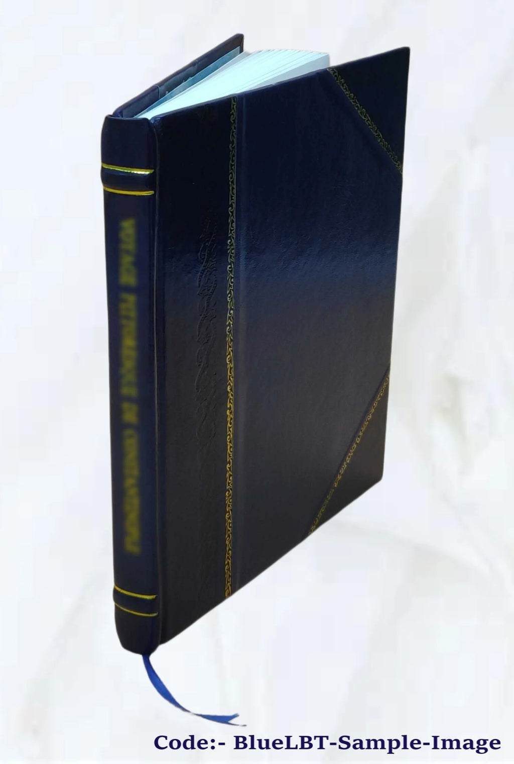Diary of Enos Hitchcock, 1899 [Leather Bound] K509