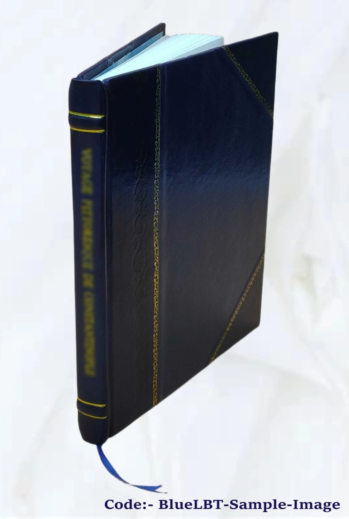 Diary of Enos Hitchcock, 1899 [Leather Bound] K509