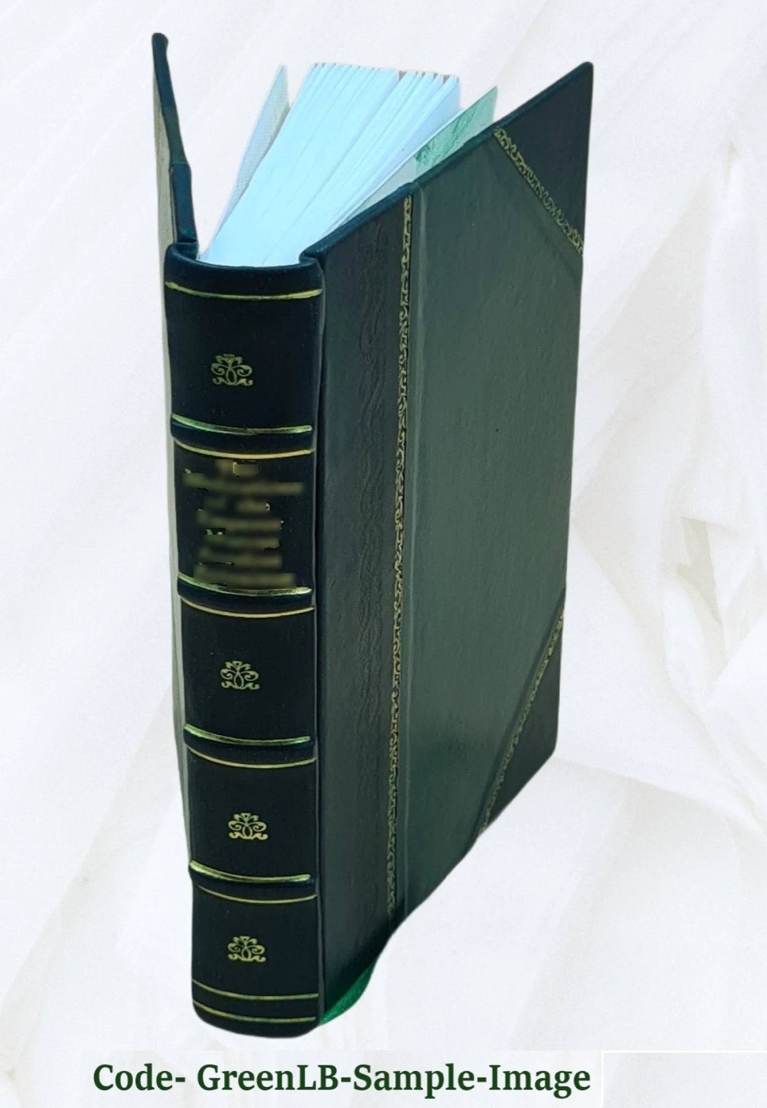 Pacific Northwest Indian wars G68352