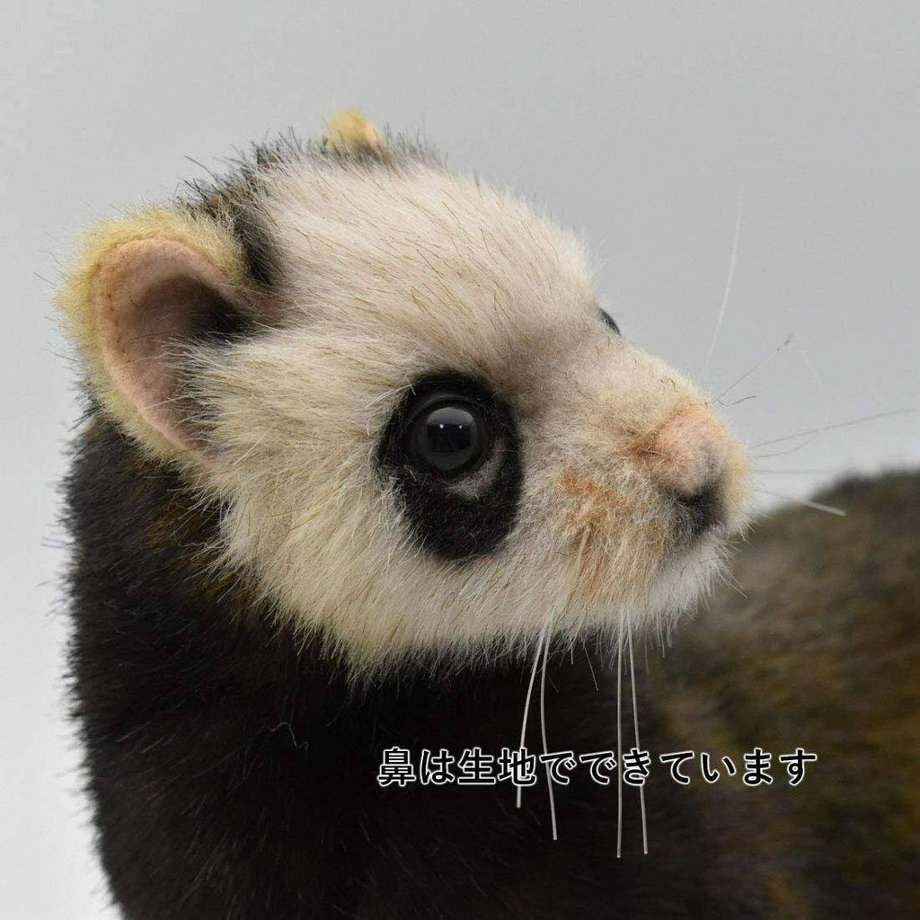 European Polecat Stuffed Animal 41 I74562