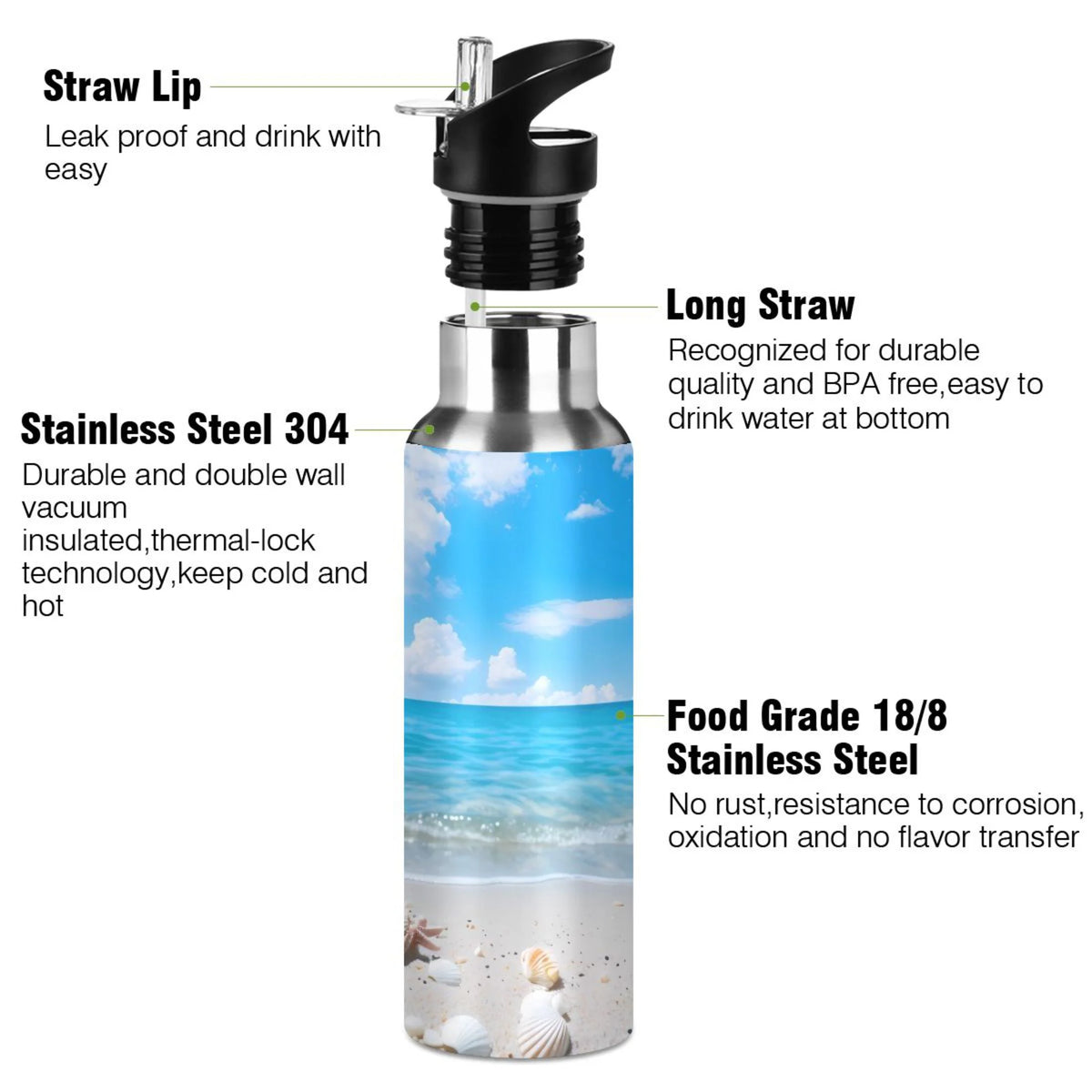 Insulated Stainless Steel Water Bottle with Straw Lid, 20 oz O80256