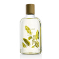 Olive Leaf Body Wash 9.25oz U5743