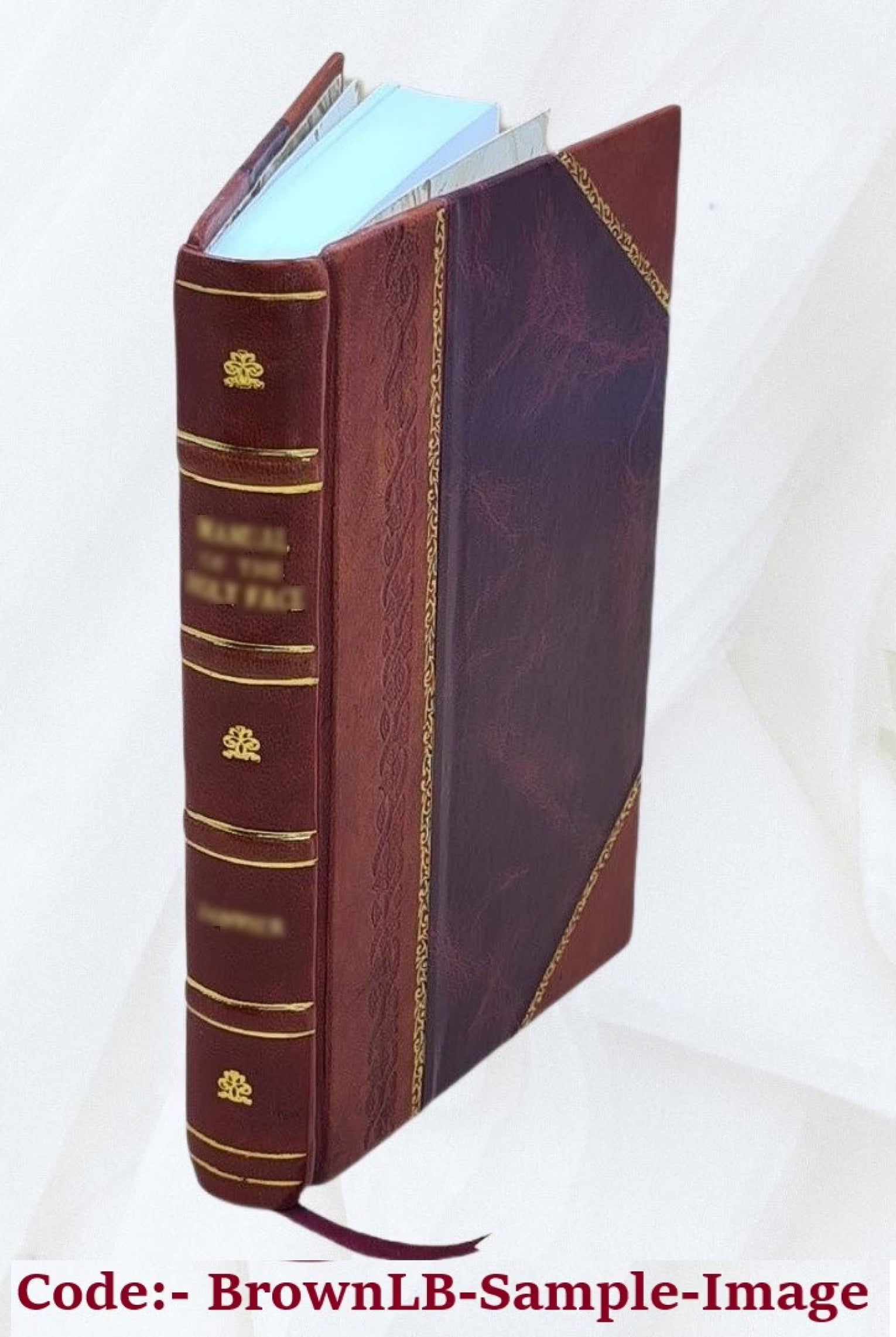 The Tutor's Story: An Unpublished Novel by Charles Kingsley, Completed by Lucas Malet, Leather Bound M16297