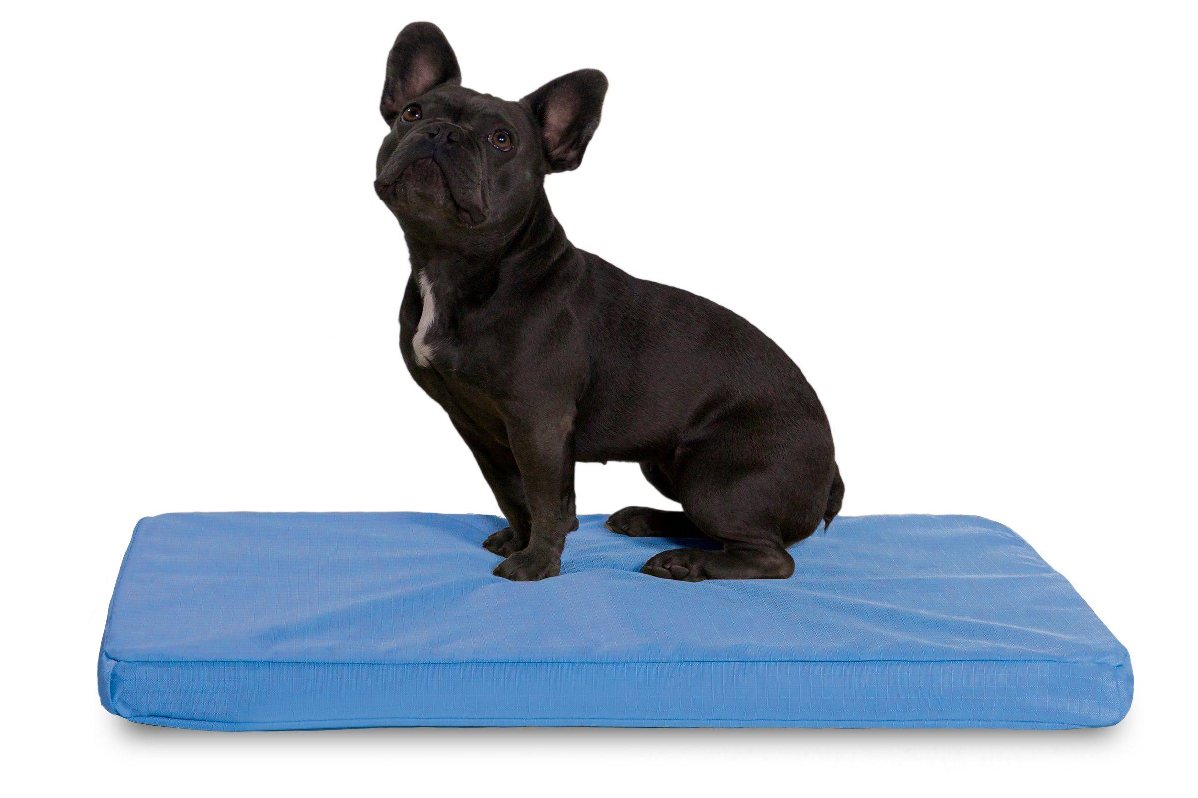 Chew Resistant Orthopedic Crate Pad T335