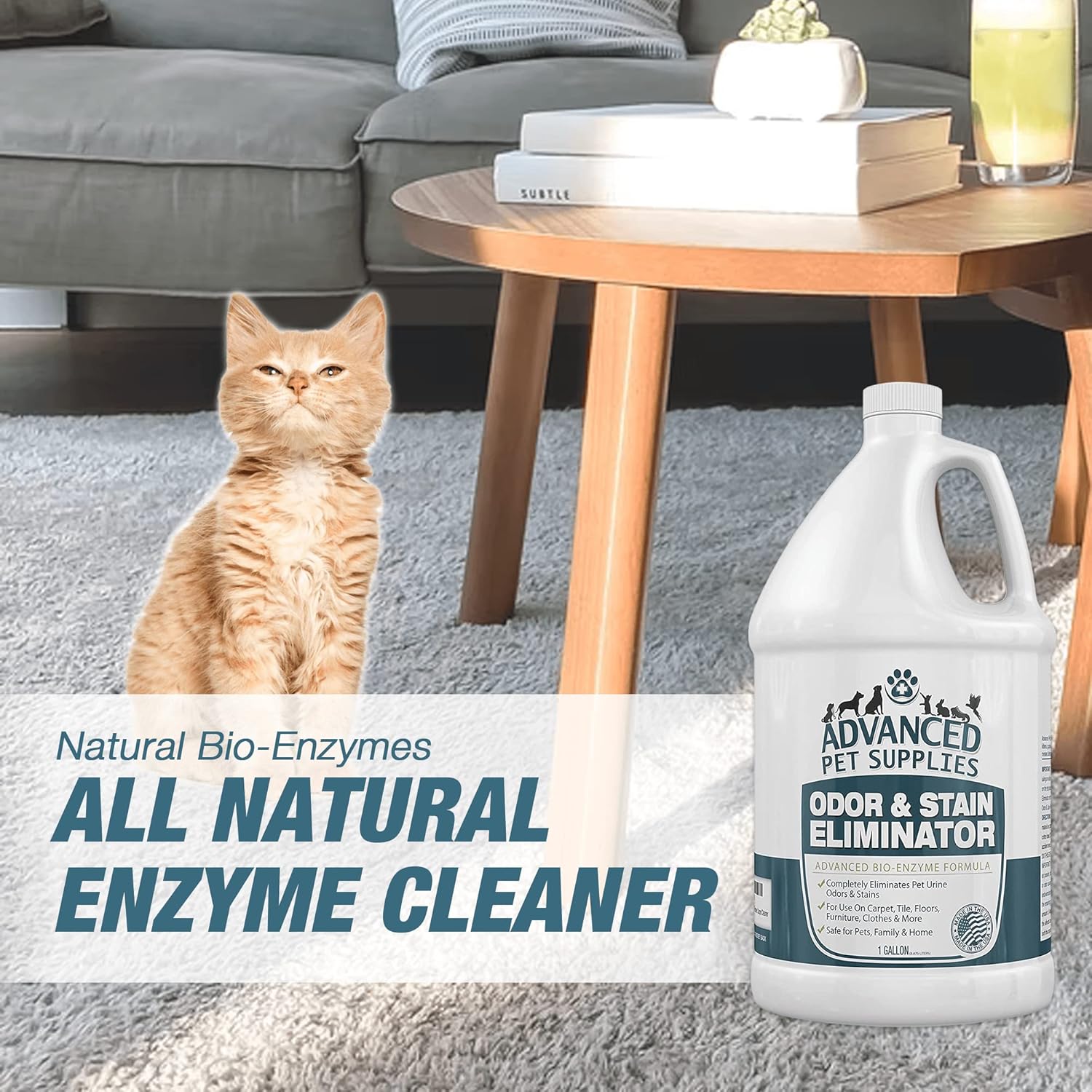 Enzyme Pet Stain and Odor Remover Carpet Cleaner, Gallon Refill Pack of 2 G66524