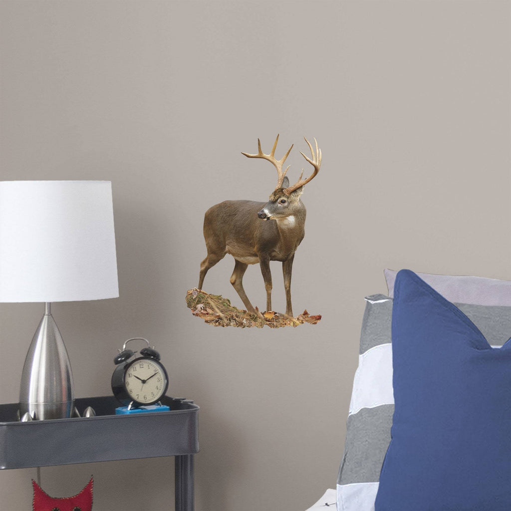 X-Large Removable Wall Decal A184