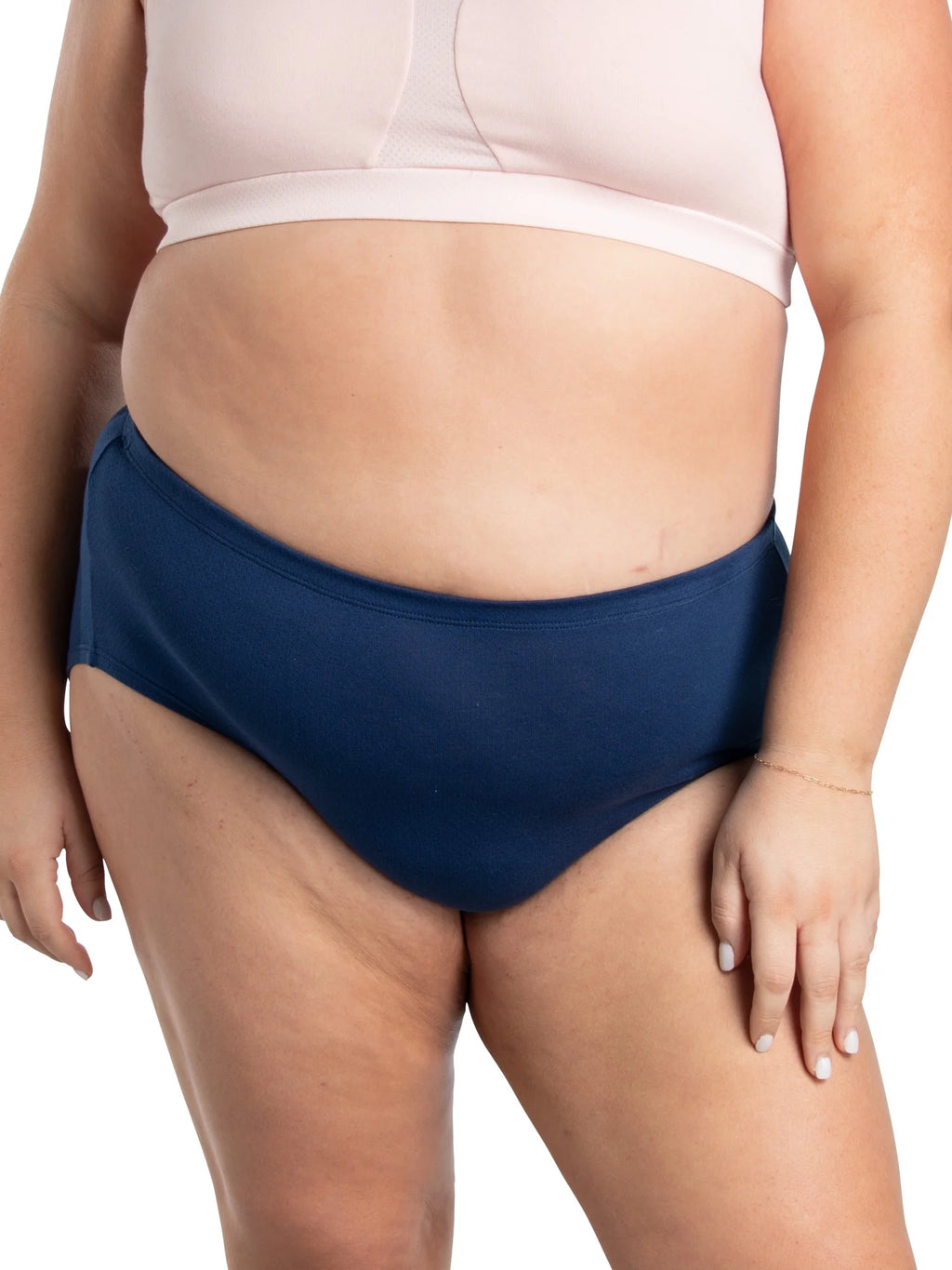 Plus Size Cotton Brief Underwear 10 Pack L42283