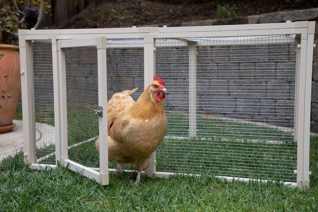 Chicken Pen M695342