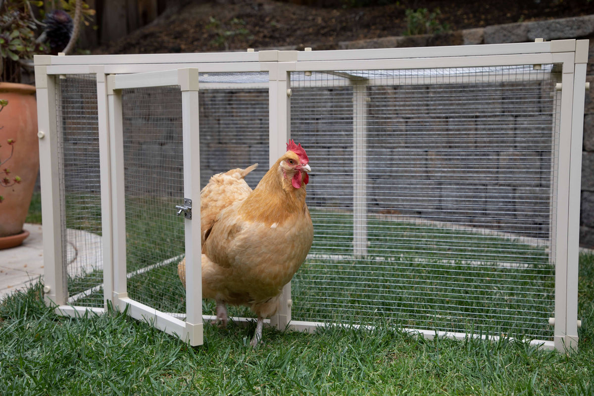 Chicken Pen M695342