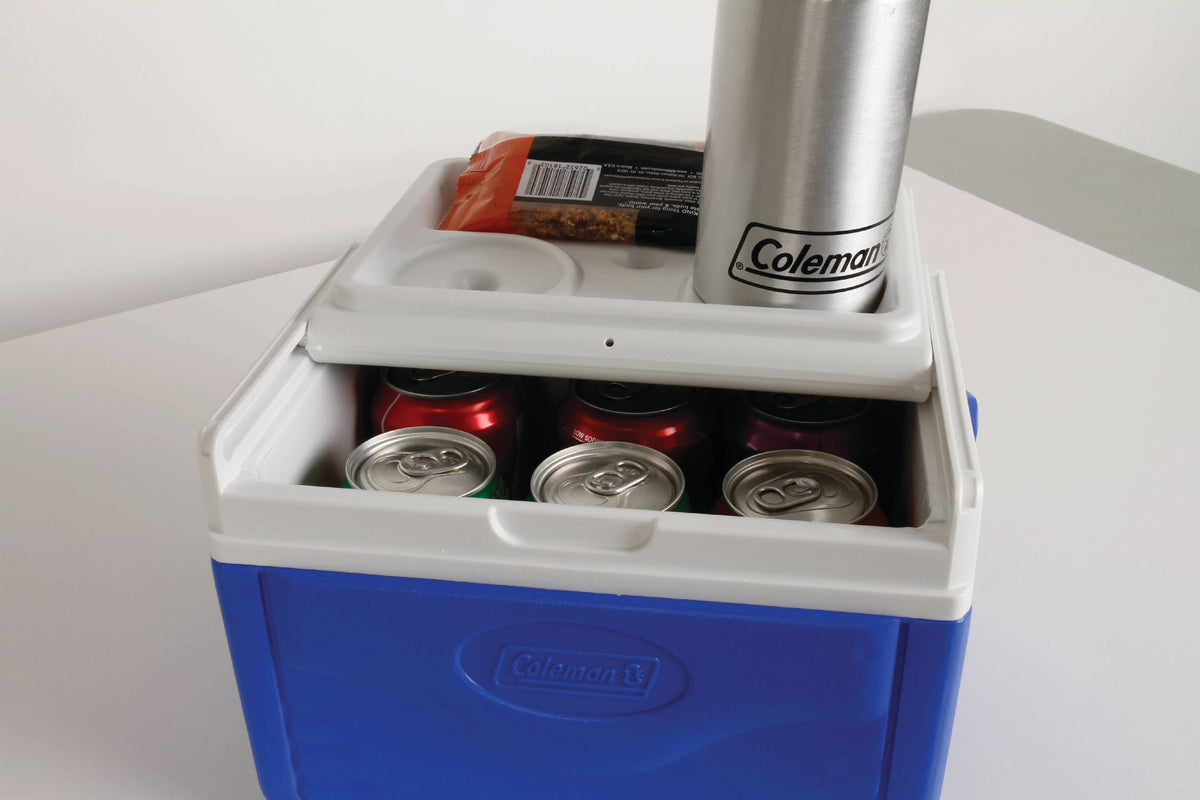 5 Quart Hard Sided Cooler H384