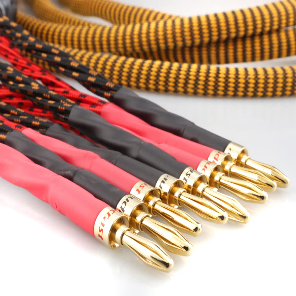 OFC Audiophile Speaker Cable with 8 Banana Plugs, 9.89ft 3m Nylon Braid J517