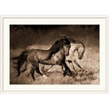 White Frame Photographic Print E9130