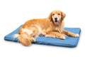 Chew Resistant Orthopedic Crate Pad T335
