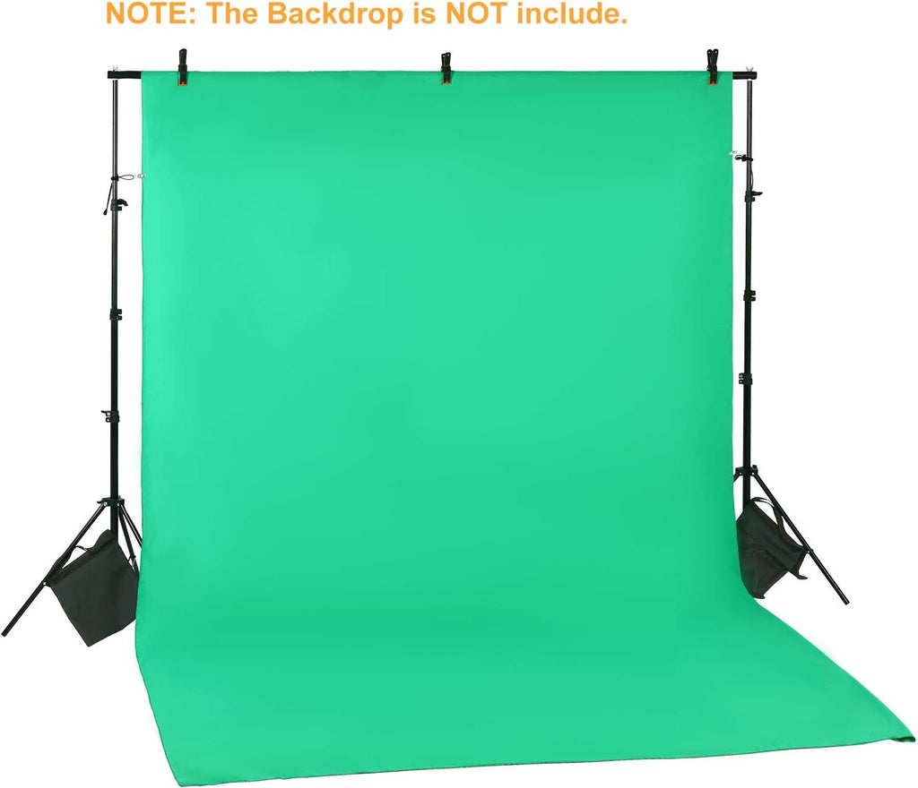 Adjustable Background Support Stand with Carry Bag N723048