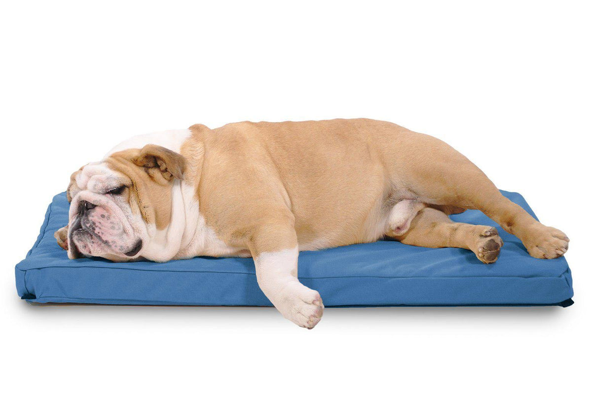 Chew Resistant Orthopedic Crate Pad T335