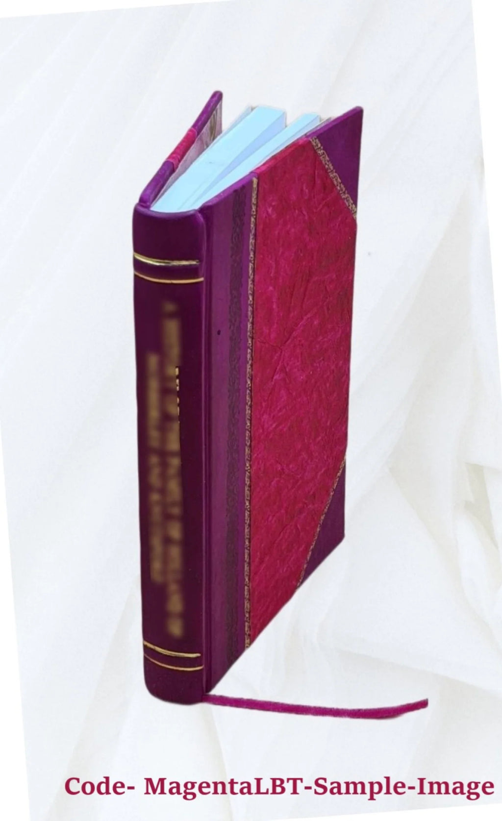 Leather Bound Book N539