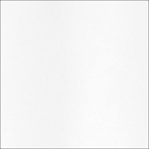 270gsm PhotoGloss Premium RC Paper Roll Z888