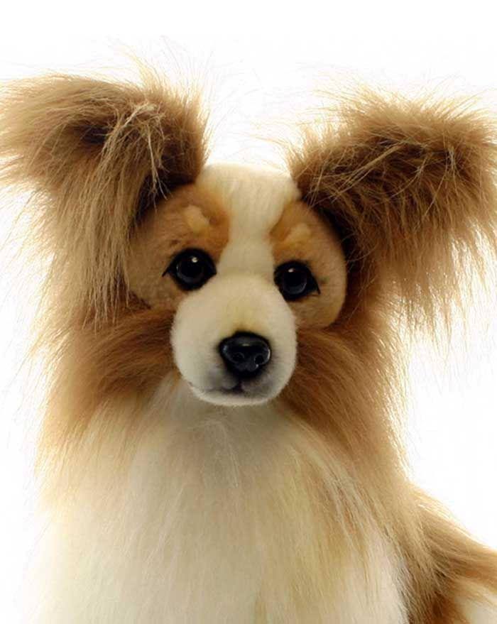 Plush Papillion Dog C160