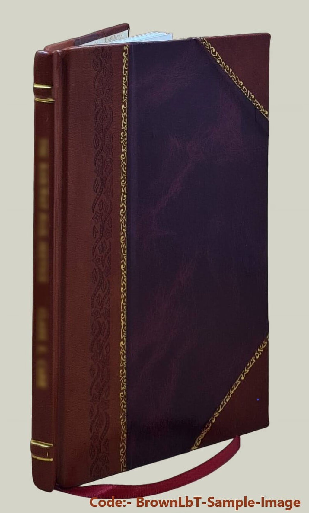 Leather Bound Book V488