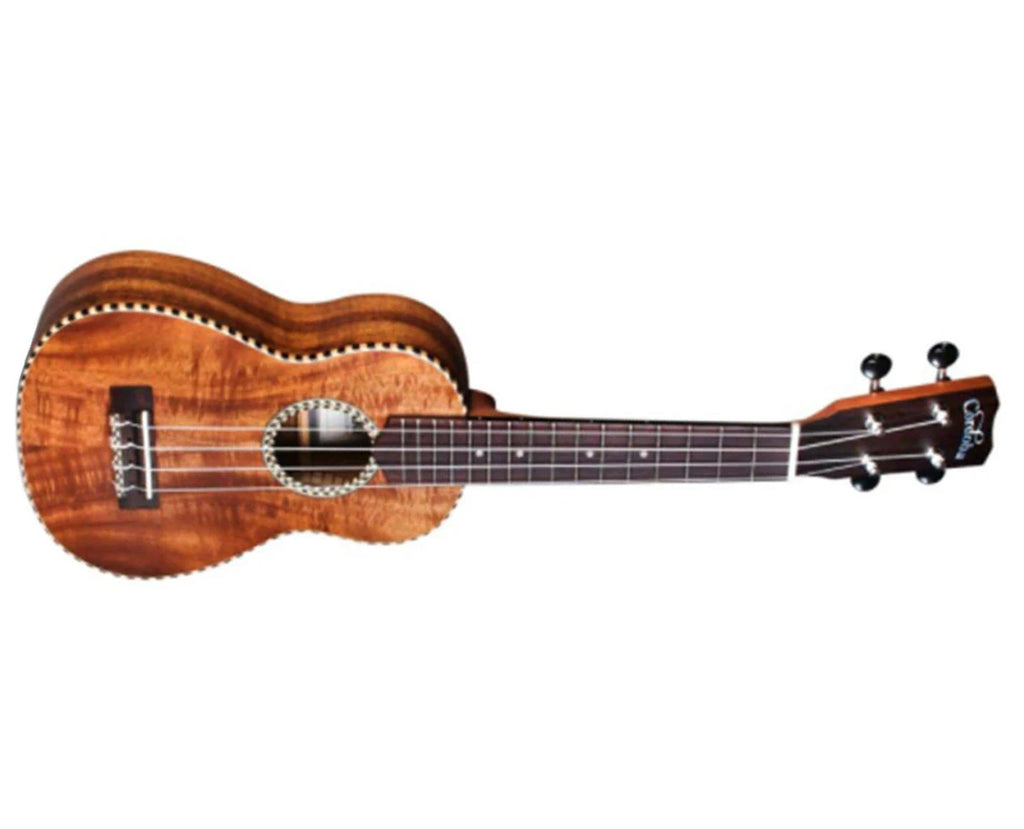 Acoustic Electric Classical Guitar A636