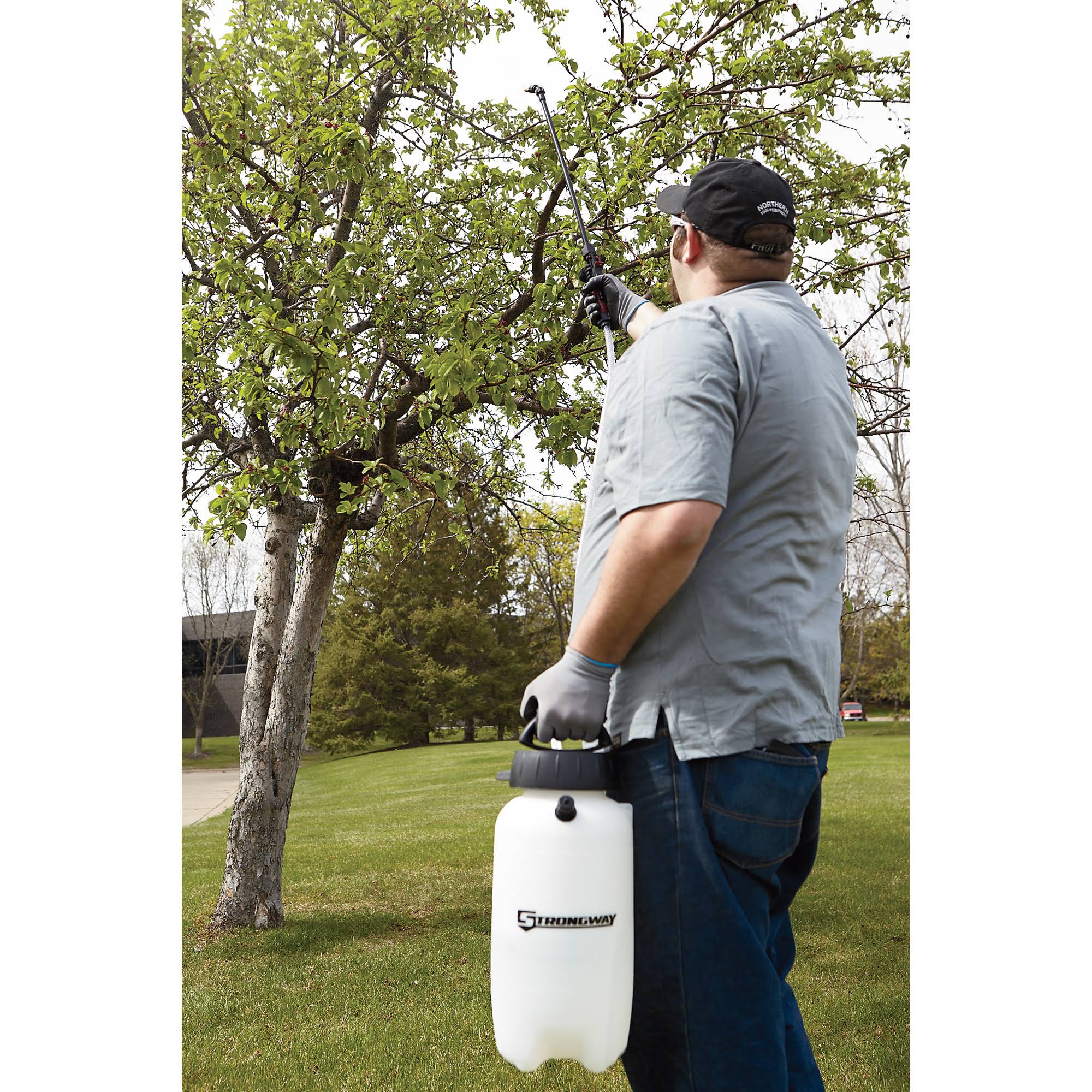 2 Gal Capacity 45 PSI Sprayer P73733