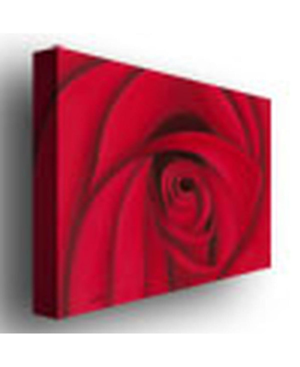 Rio & Red Rose Canvas Art C2389