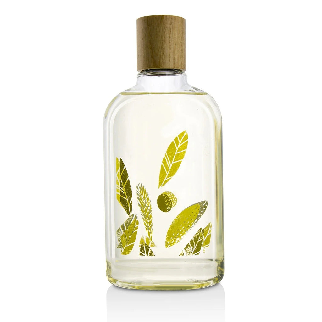 Olive Leaf Body Wash 9.25oz U5743