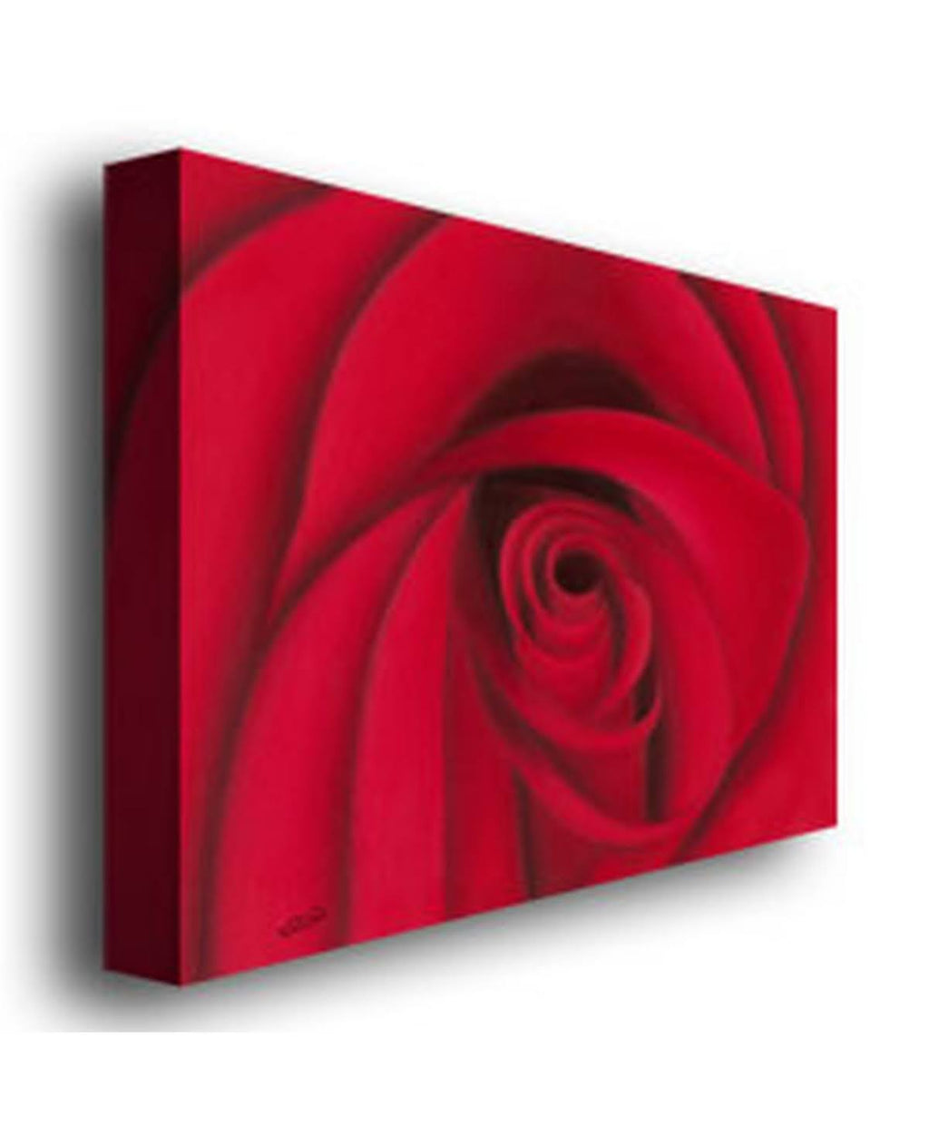 Rio & Red Rose Canvas Art C2389