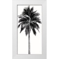 18x32 White Wood Framed Museum Art Print B3356