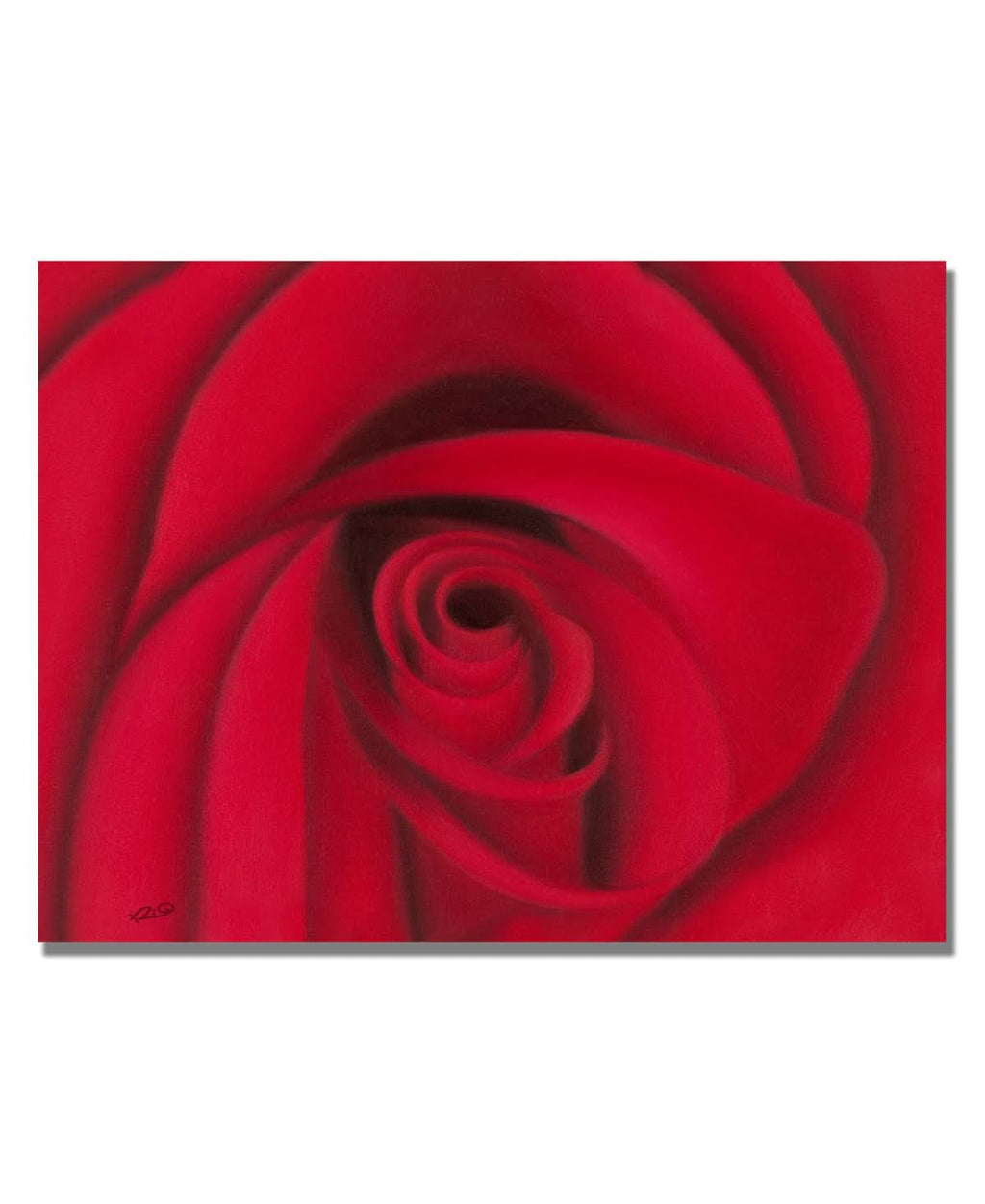 Rio & Red Rose Canvas Art C2389