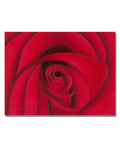 Rio & Red Rose Canvas Art C2389