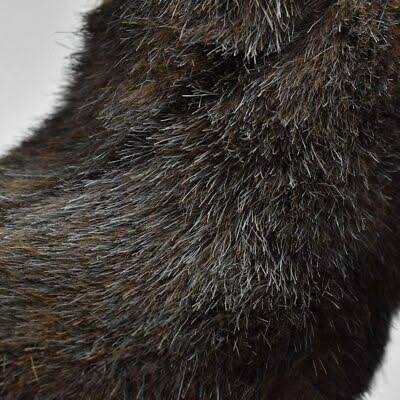 European Polecat Stuffed Animal 41 I74562
