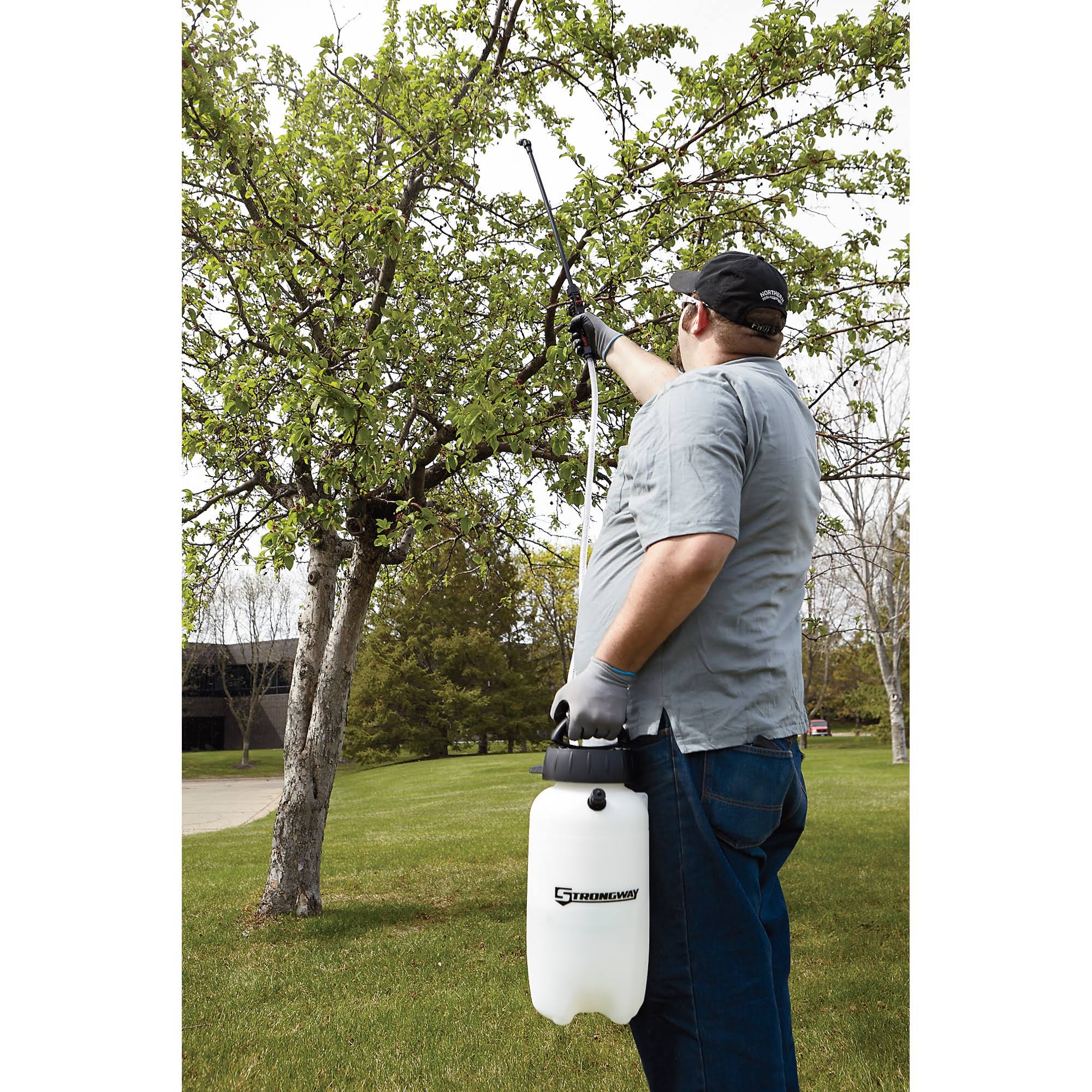 2 Gal Capacity 45 PSI Sprayer P73733