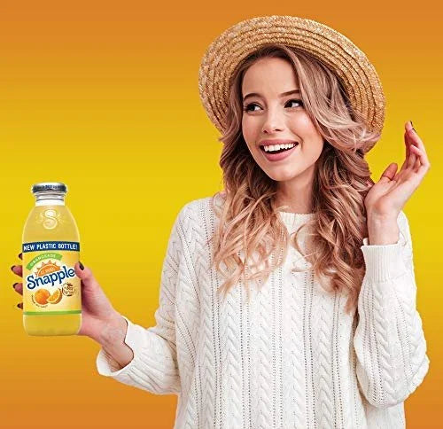 Orangeade 16 fl oz 24 Plastic Bottles Q764