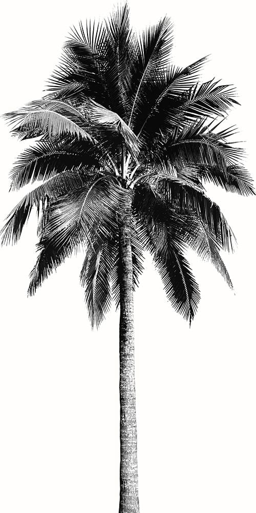 18x32 White Wood Framed Museum Art Print B3356
