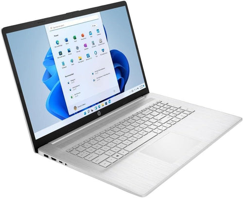 17.3'' HD+ Touchscreen AMD Ryzen 5 5500U Notebook Laptop, Silver, 16GB RAM | 512GB SSD+1TB HDD Q17130