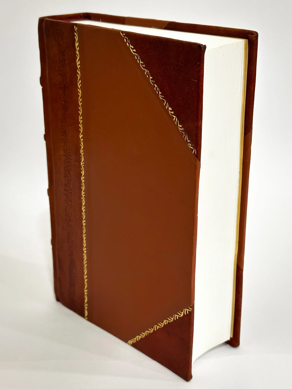 Leather Bound Book V762748