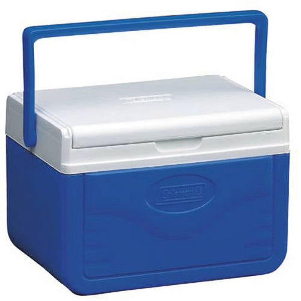 5 Quart Hard Sided Cooler H384