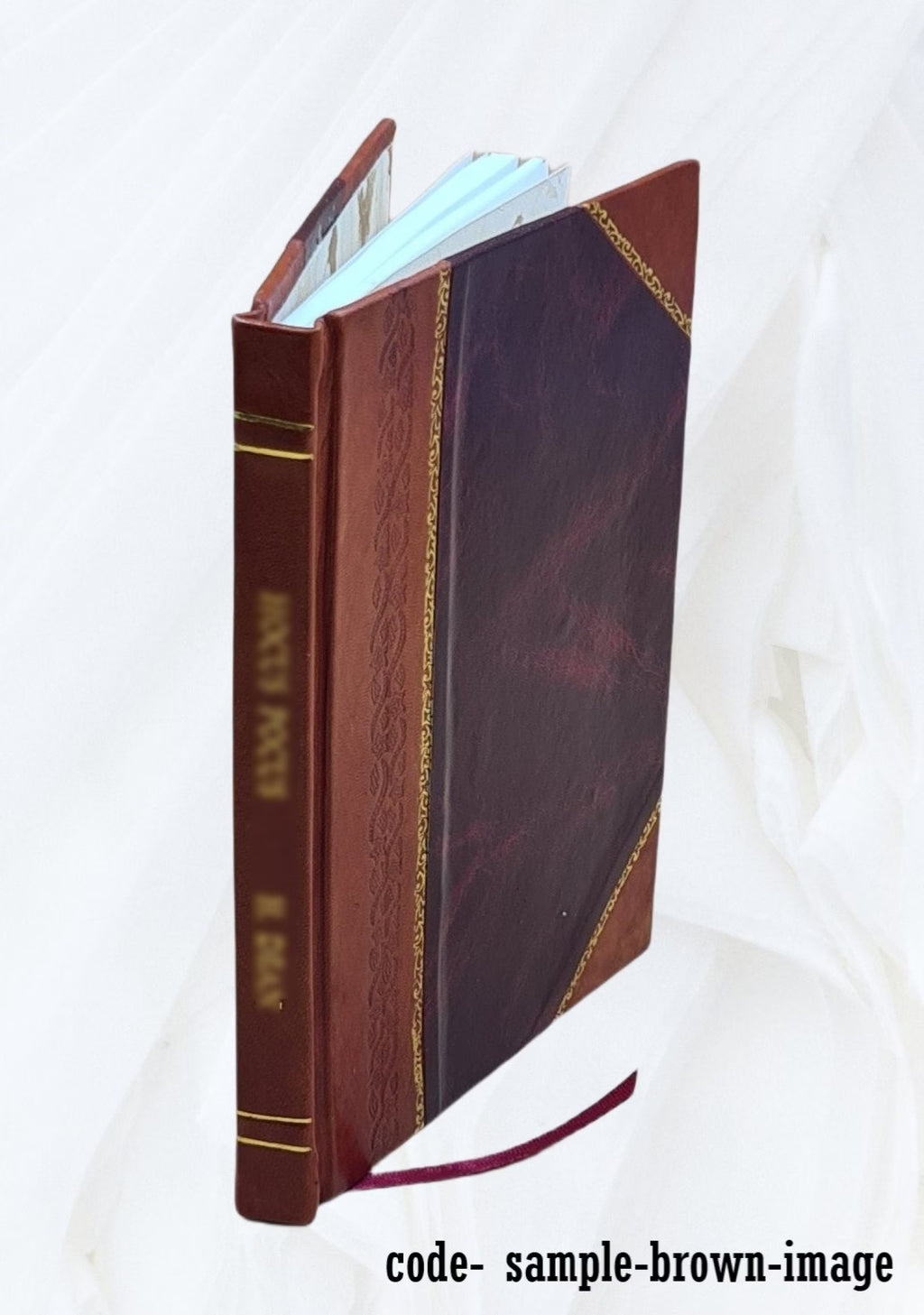 Leather Bound Book N539
