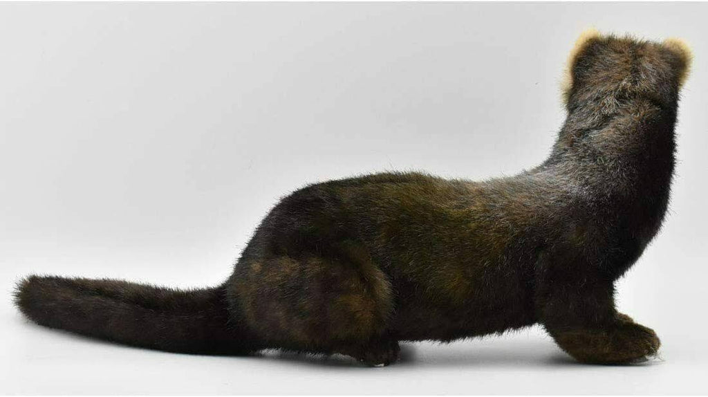 European Polecat Stuffed Animal 41 I74562