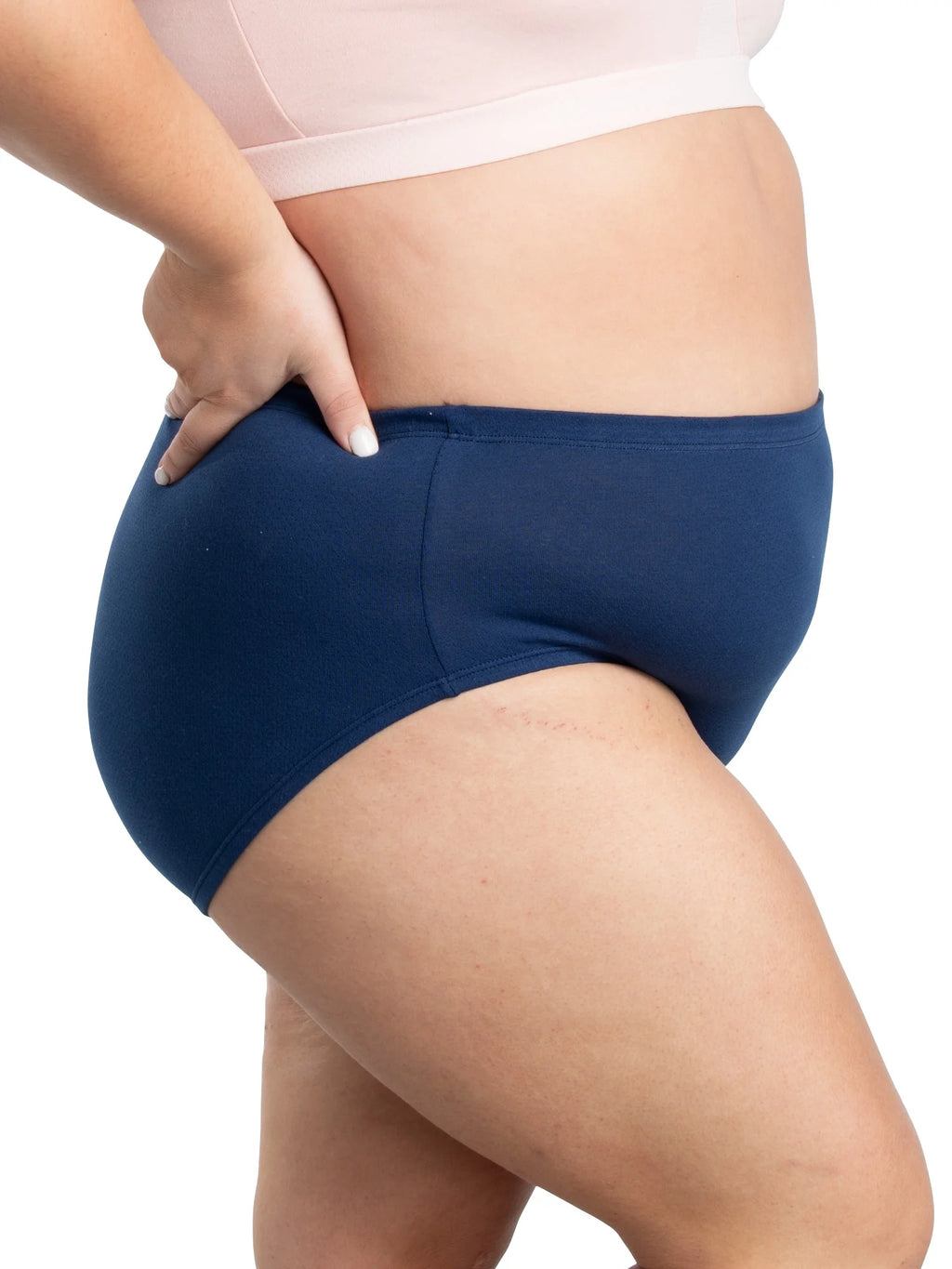 Plus Size Cotton Brief Underwear 10 Pack L42283