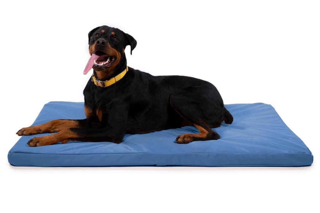 Chew Resistant Orthopedic Crate Pad T335