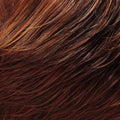 Shaded Mocha Wig N4828