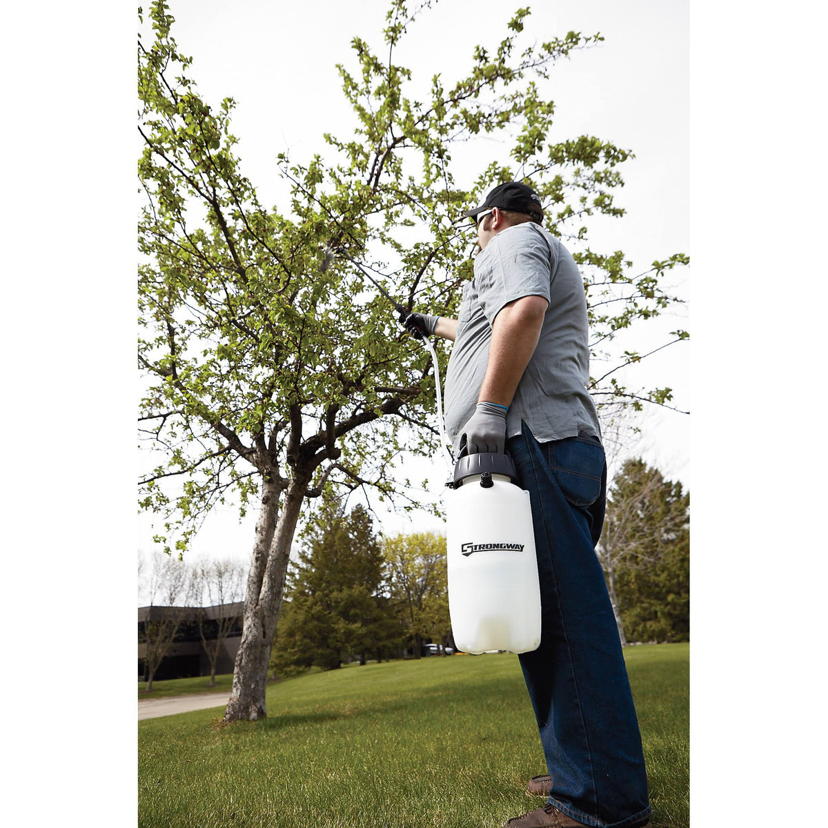 2 Gal Capacity 45 PSI Sprayer P73733