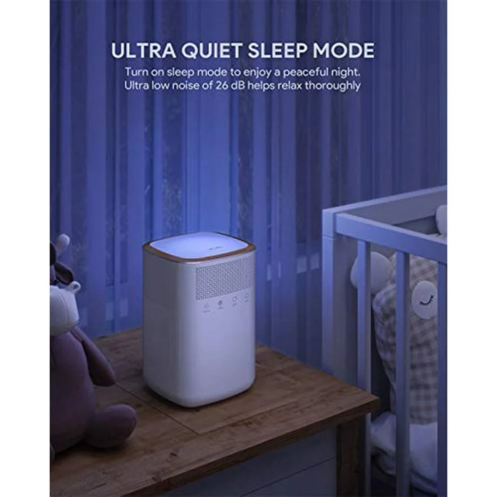 HEPA Air Purifier with Activated Carbon Filter B9785