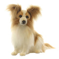 Plush Papillion Dog C160