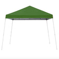 Green 10 x 10 Foot Outdoor Canopy with Carry Bag D899