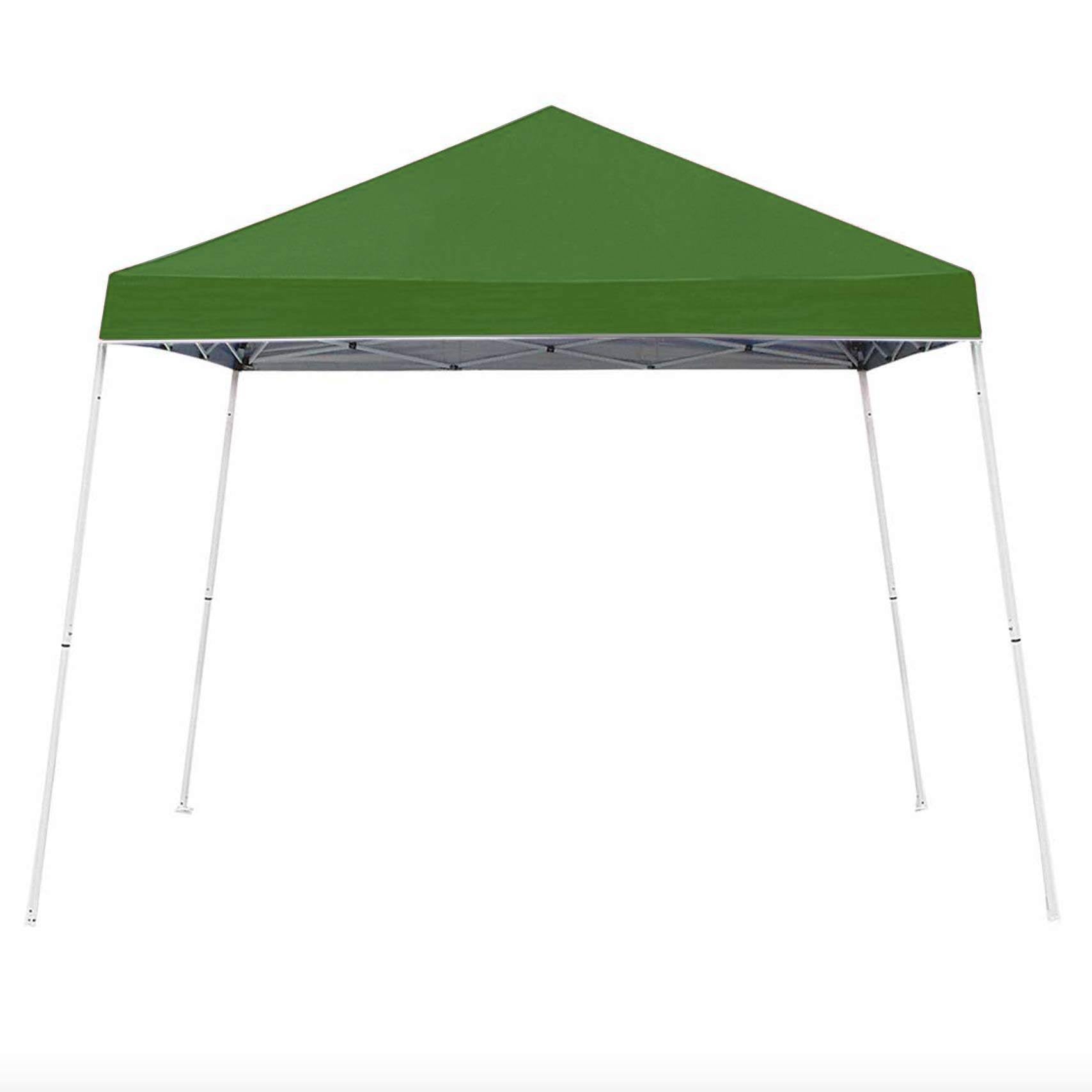 Green 10 x 10 Foot Outdoor Canopy with Carry Bag D899