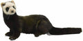 European Polecat Stuffed Animal 41 I74562